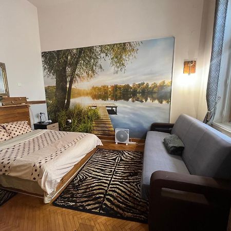 Apartament Ultracentral 2 Piata Muzeului Клуж-Напока Екстериор снимка