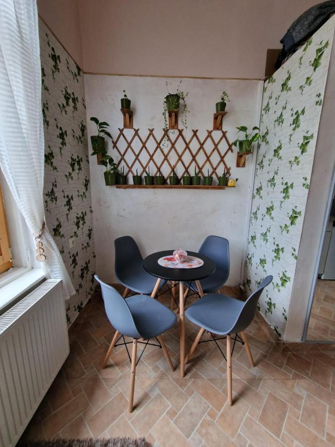 Apartament Ultracentral 2 Piata Muzeului Клуж-Напока Екстериор снимка