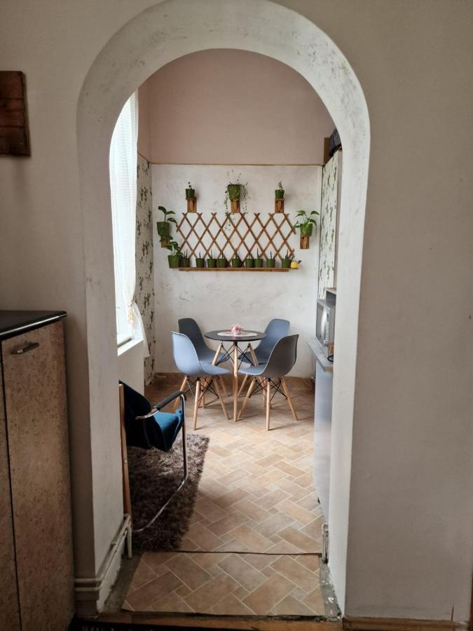 Apartament Ultracentral 2 Piata Muzeului Клуж-Напока Екстериор снимка