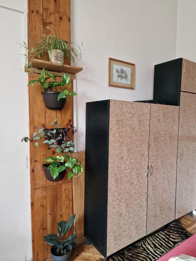 Apartament Ultracentral 2 Piata Muzeului Клуж-Напока Екстериор снимка
